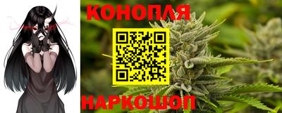 дмт Сланцы
