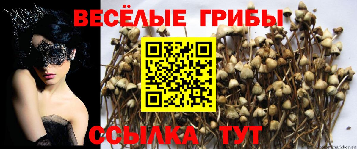 Галлюциногенные грибы прущие грибы  Вход с VPN  Обнинск 